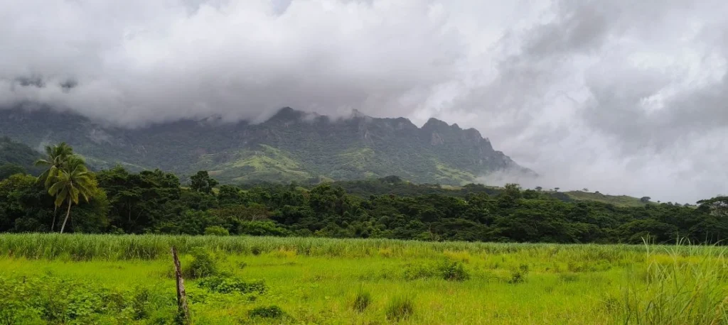 Nadi Half Day Sightseeing Tour