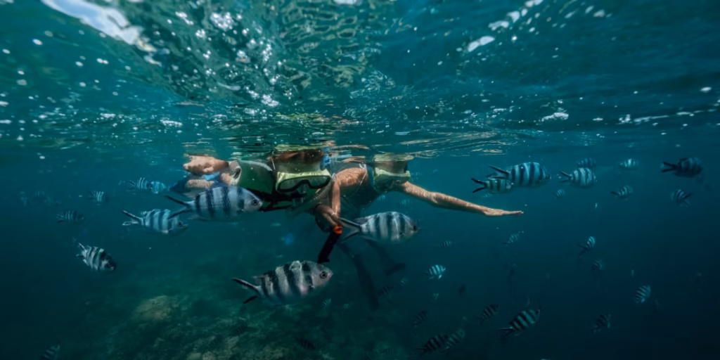 Fiji Snorkeling