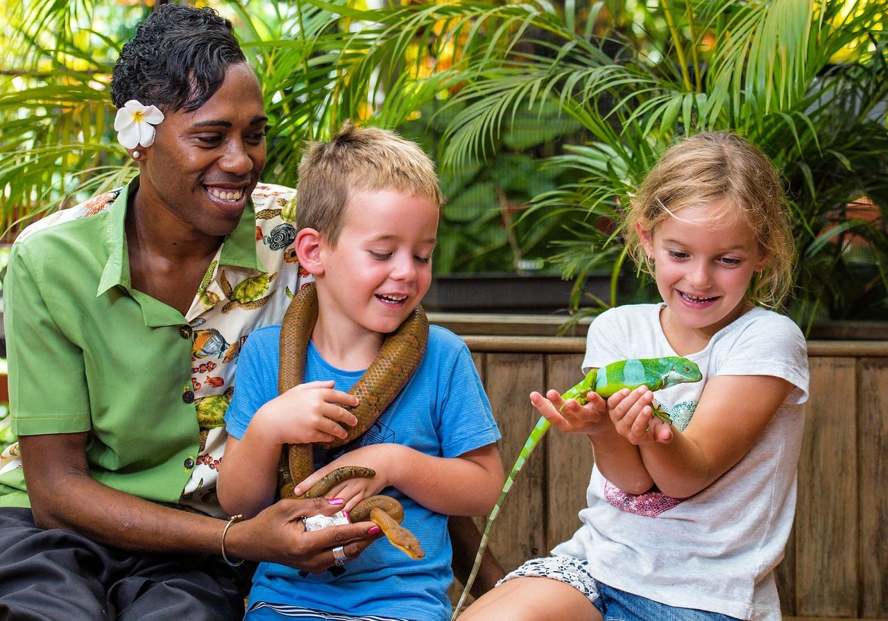 Discover top Fiji Attractions with us on our sightseeing tours.