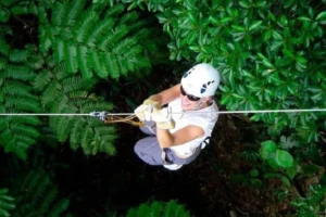 fiji zipline