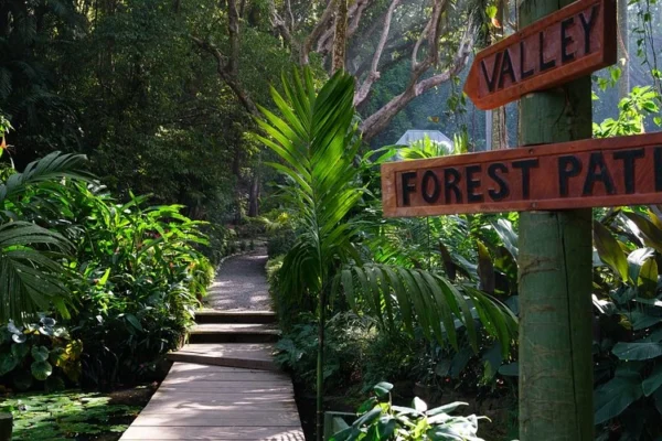 Nadi Half Day Sightseeing Tour
