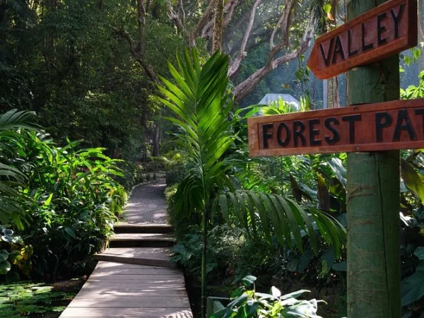 Nadi Half Day Sightseeing Tour