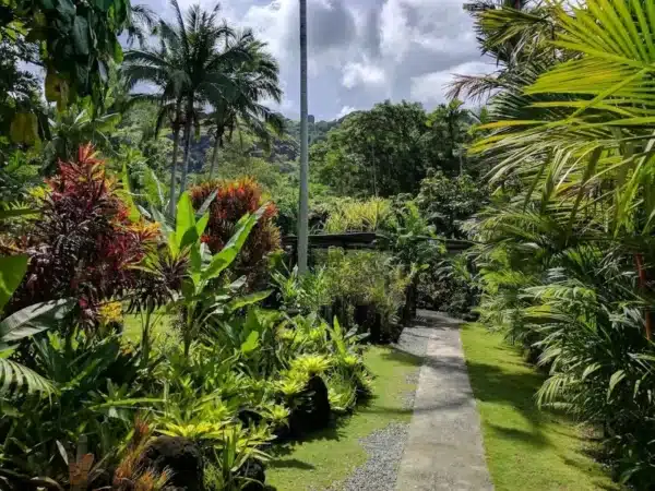 Private Nadi Tour Cultural and Nature Highlights