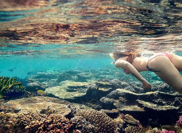 best Fiji activities 