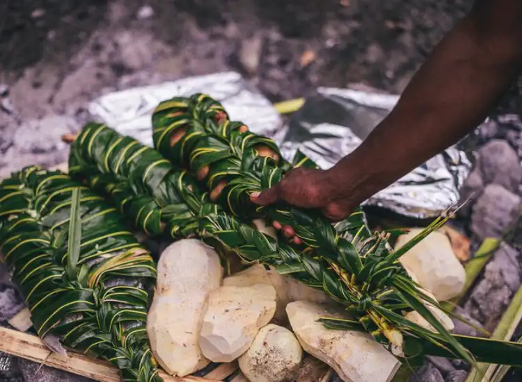 fijian food