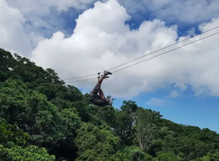 fiji zipline nadi tour