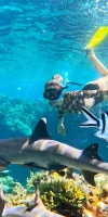 explore our fiji tours