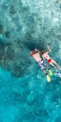 fiji snorkeling
